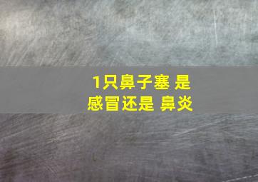 1只鼻子塞 是 感冒还是 鼻炎